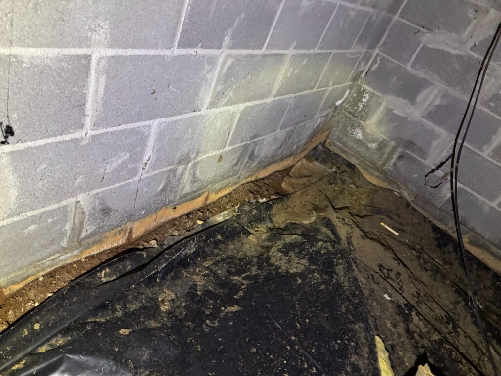 Moisture damaged crawl space block wall with staining and early signs of water intrusion requiring crawl space restoration