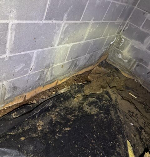 Moisture damaged crawl space block wall with staining and early signs of water intrusion requiring crawl space restoration