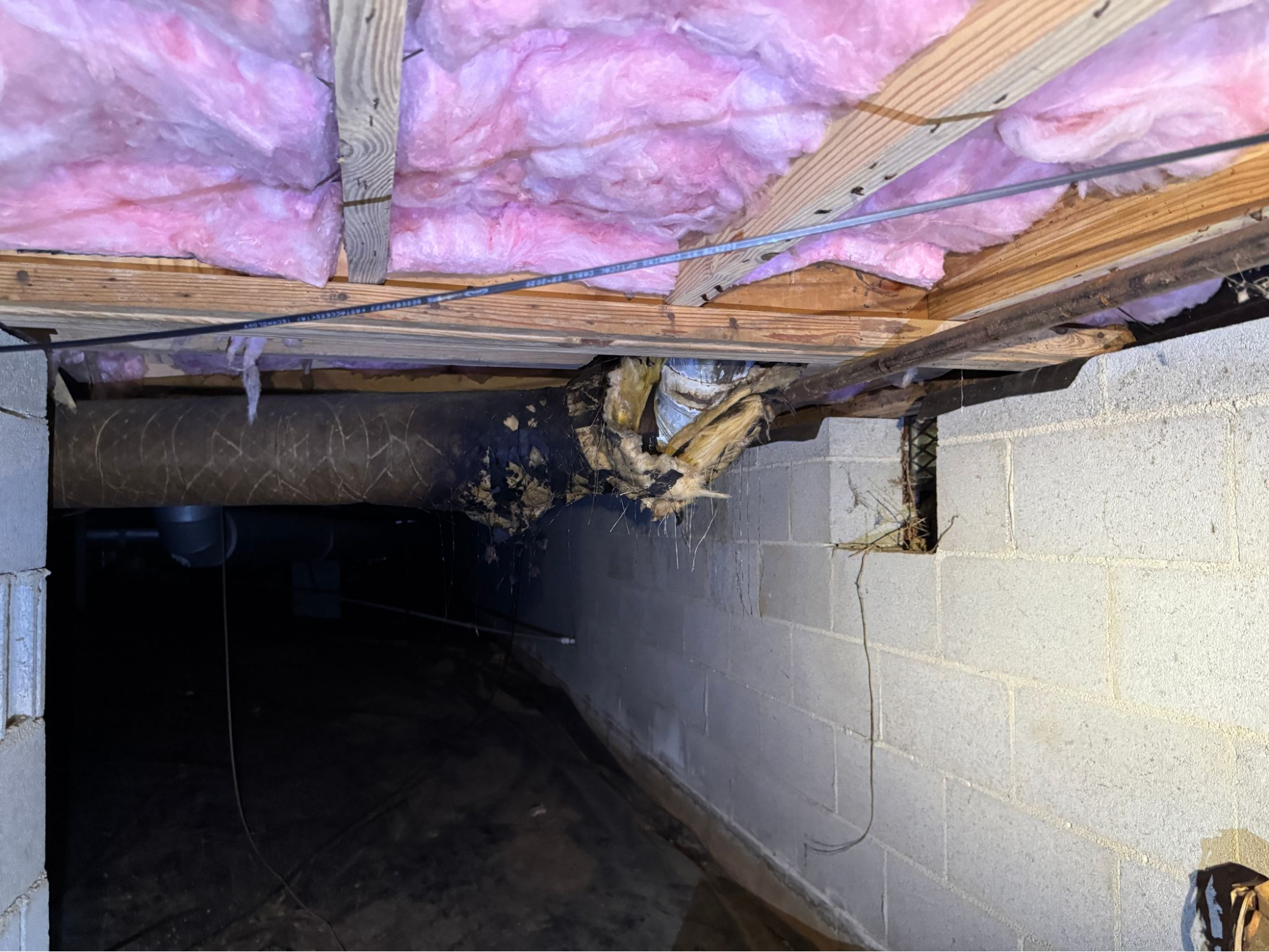 Crawl Space Problems Every Homeowner Should Know About
