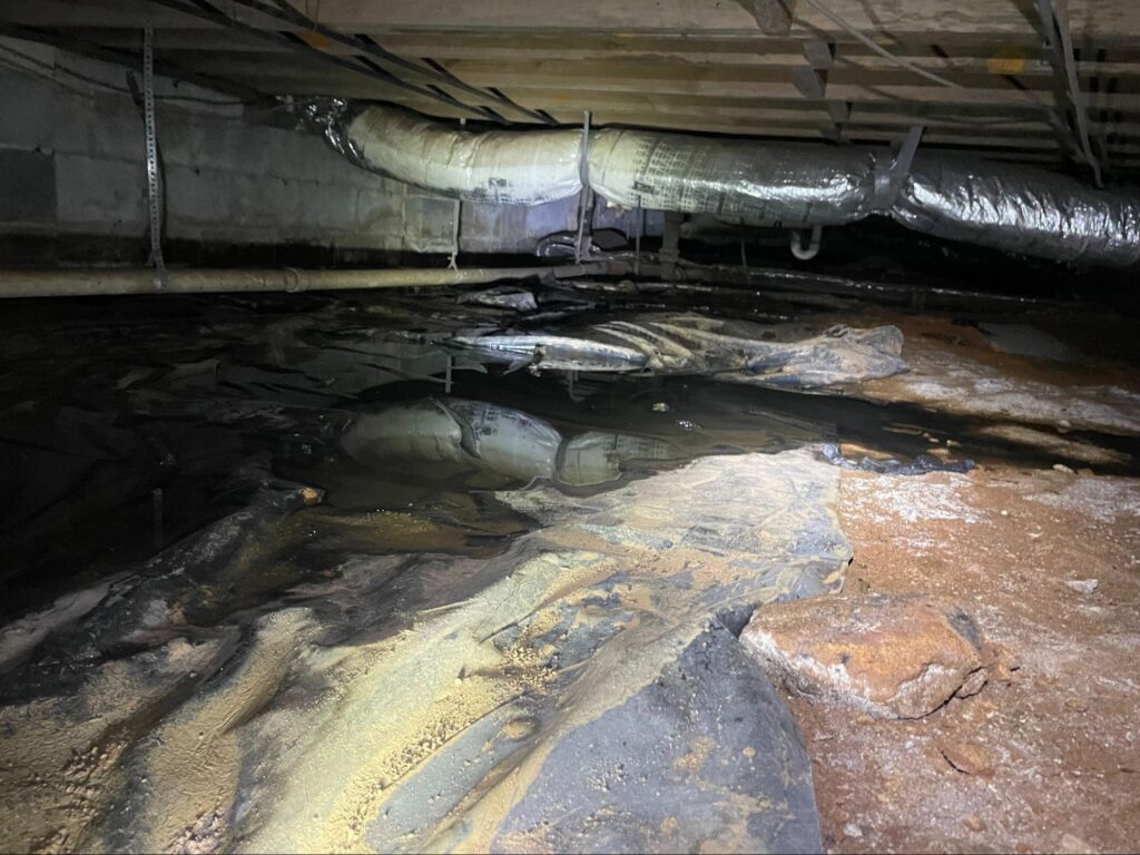 Standing water on vapor barrier in crawl space indicating the need for urgent restoration services