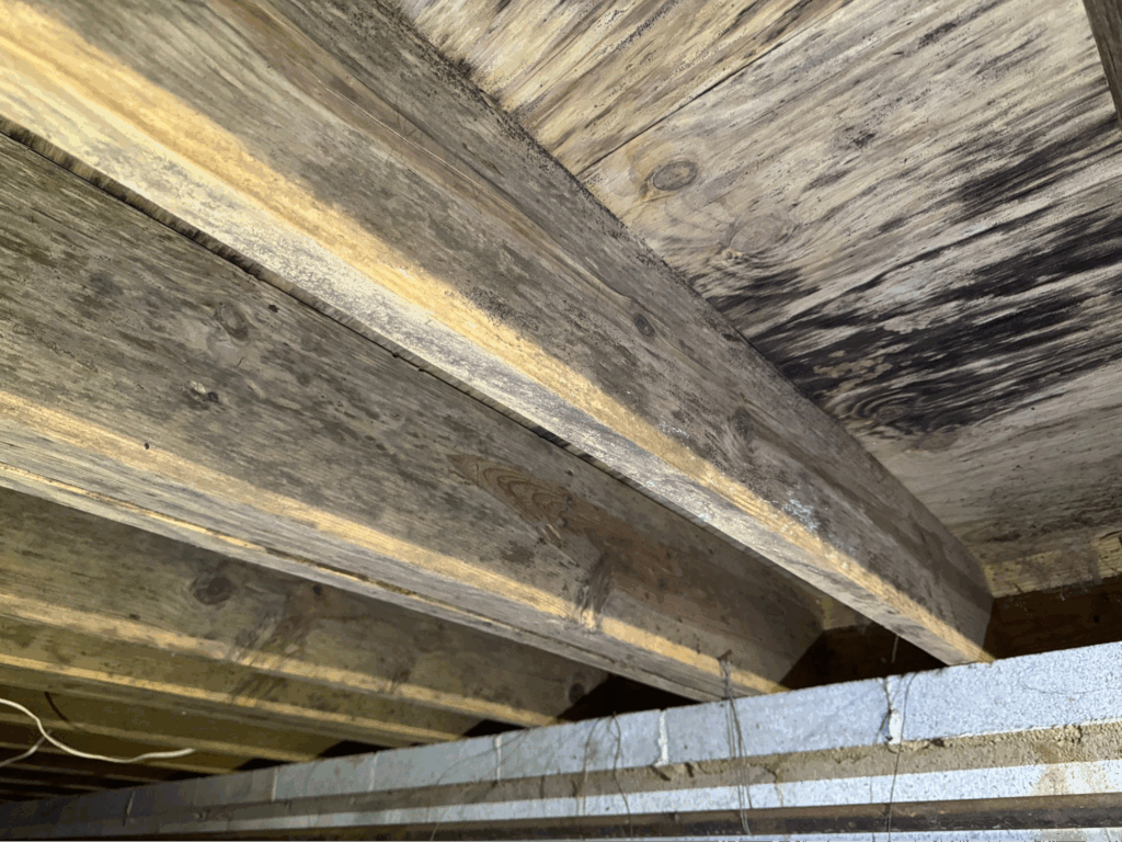Mold-stained wood joists in crawl space showing signs of rot and moisture damage