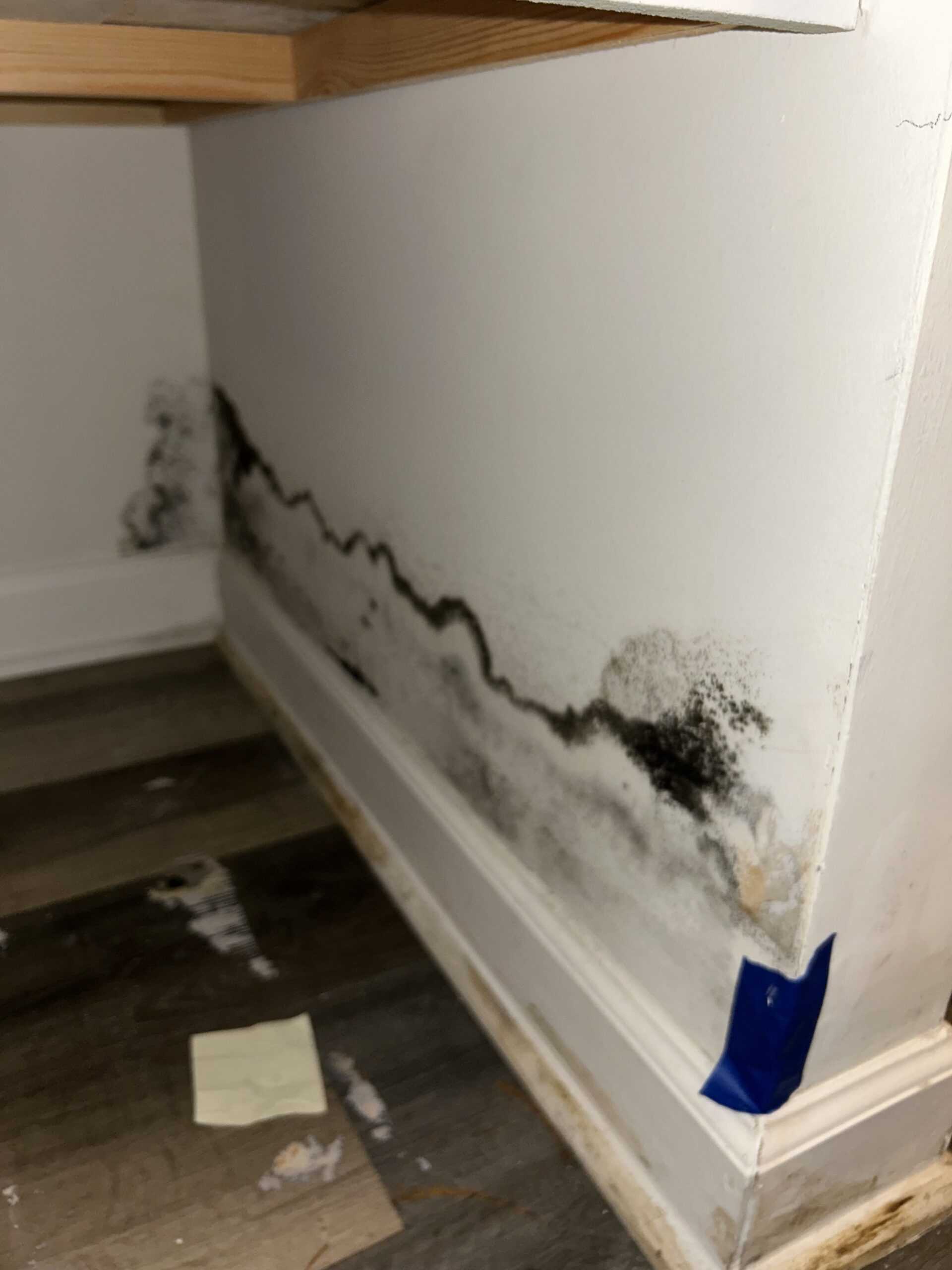 How to Tell If You Have Hidden Mold in Your Home