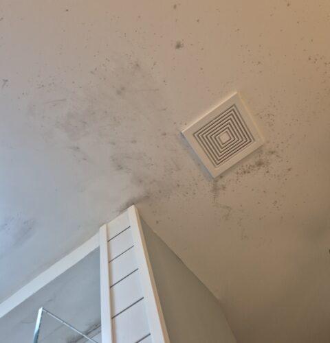 Mold in Bathroom