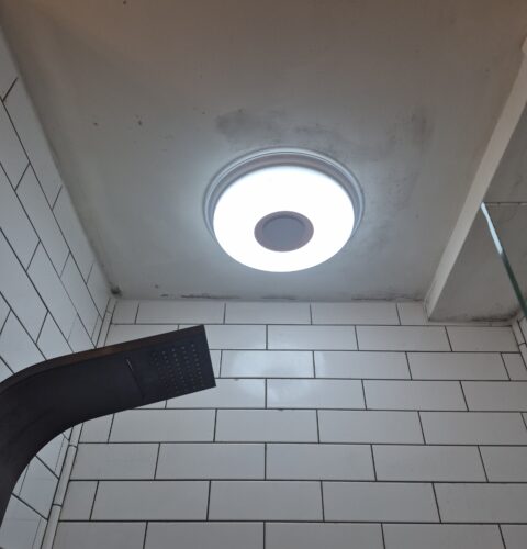 Mold in Bathroom Ceiling