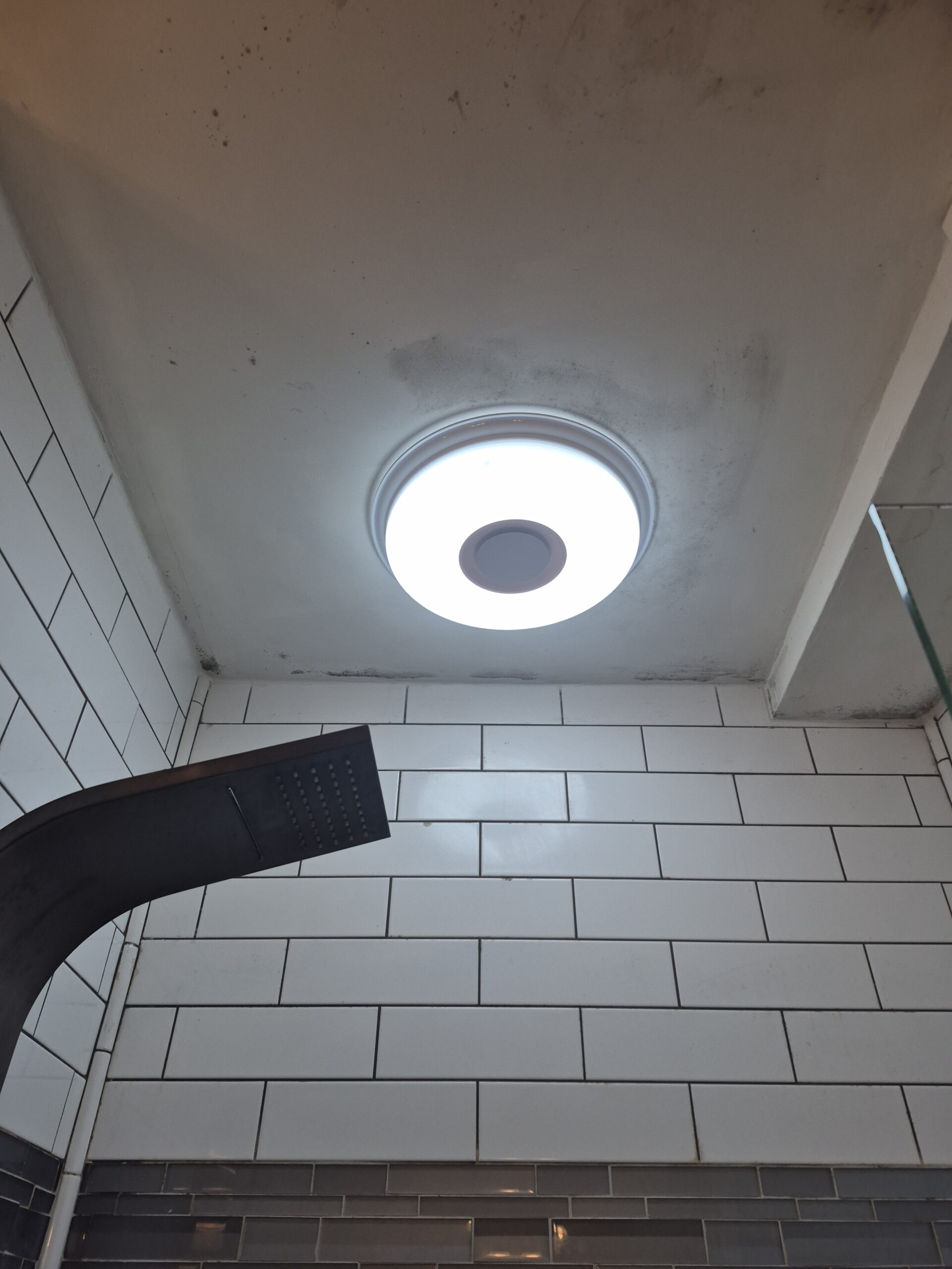 Restore Pros a local restoration company offers a comprehensive mold remediation service Dark mold spots on a bathroom ceiling in an Athens, GA home