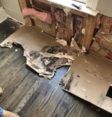 Water Damage Causing Molds