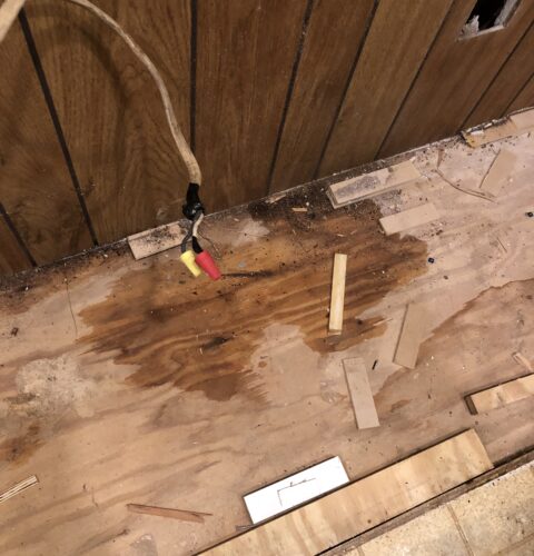 Water Damage and Molds