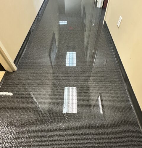 What to Do After Water Damage