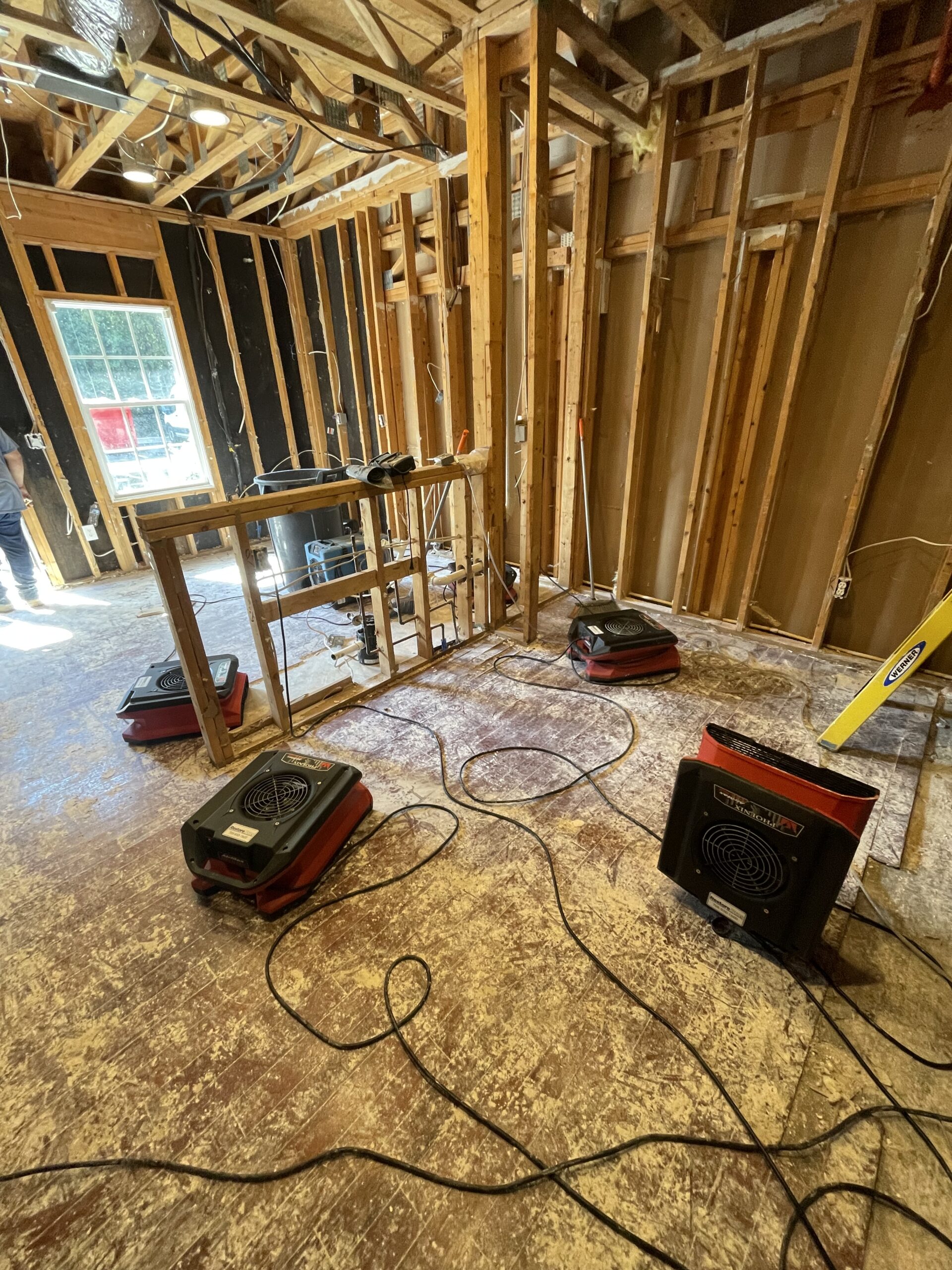 Mold Inspection and Remediation