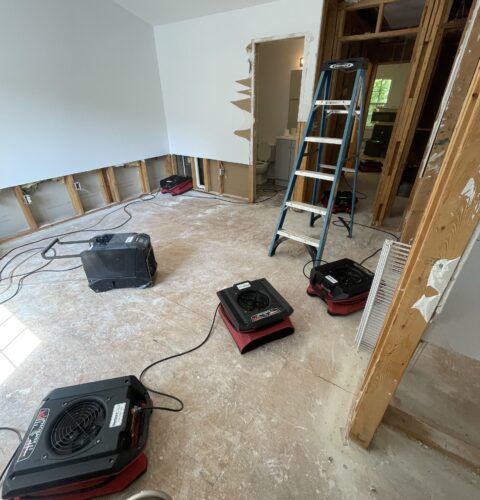 Mold Removal Company in Athens