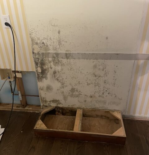 Home Restoration Services