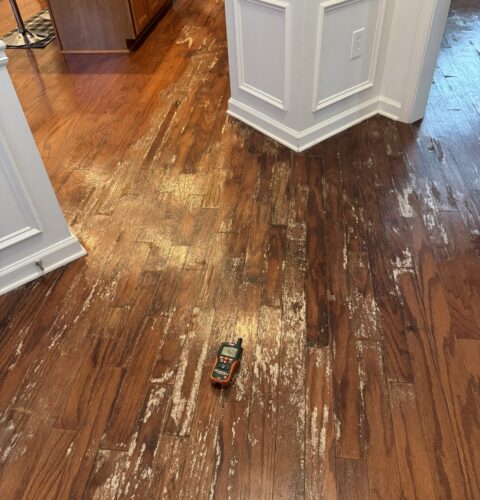 Northeast Georgia Restoration Services After Flooding