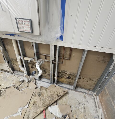 Understanding Secondary Damage After Water, Fire, or Mold Events