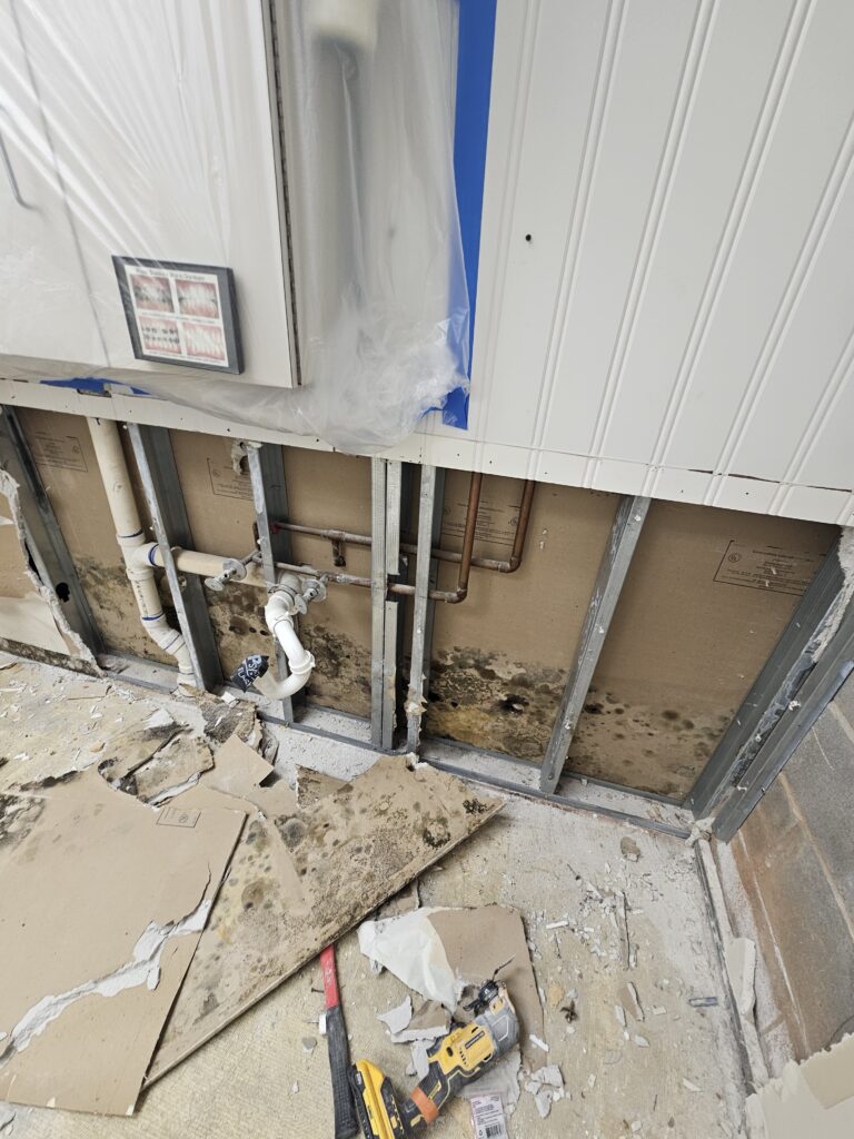 Understanding Secondary Damage After Water, Fire, or Mold Events